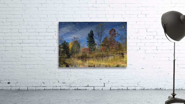 Magical Fall Colors Wall Preview