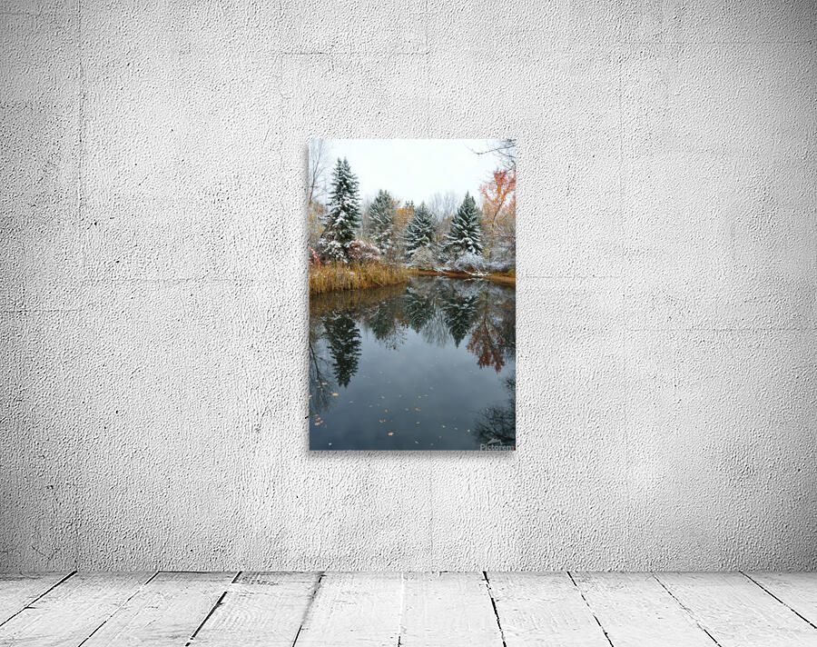 Fresh Snow and Pond Reflections Wall Preview