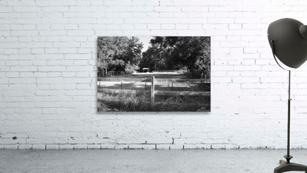 Shady Pasture Wall Preview