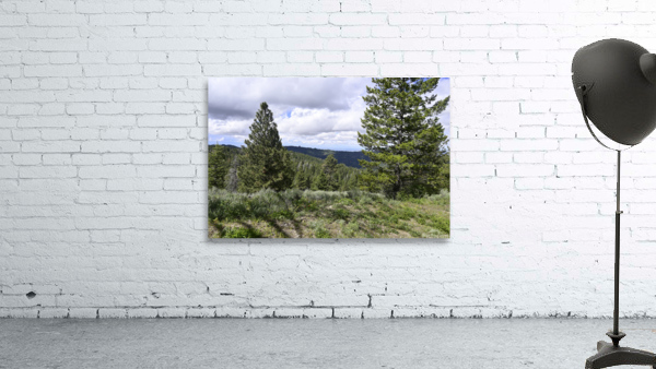 Boise National Forest 1 Wall Preview