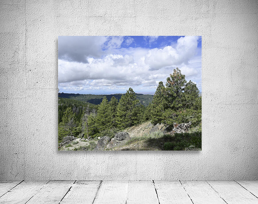 Boise National Forest 2 Wall Preview