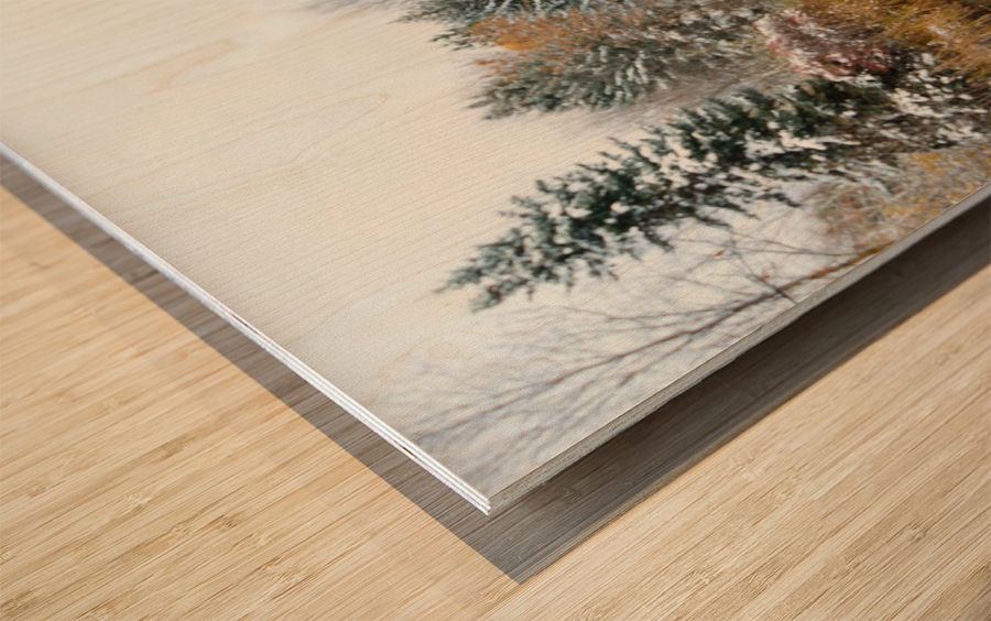 Fresh Snow and Pond Reflections Wood print