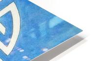 Kimono Bridge HD Metal print