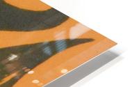 Autumn Abstract HD Metal print
