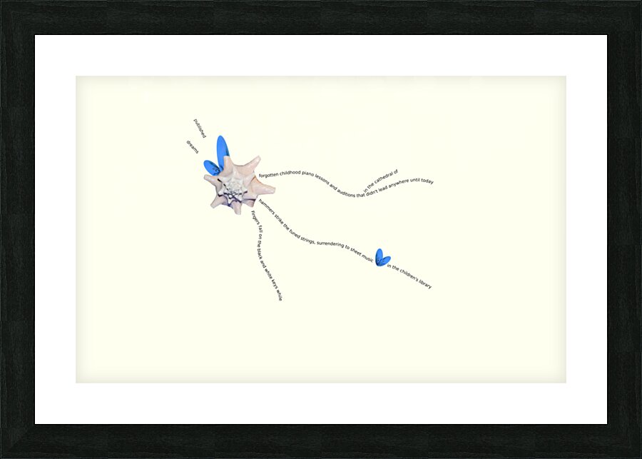 Piano VISUAL POETRY SEASHELL COLLAGE COLLECTION WITH SEASCAPE PHOTOGRAPHY MARINE IKEBANA POETRY Picture Frame print