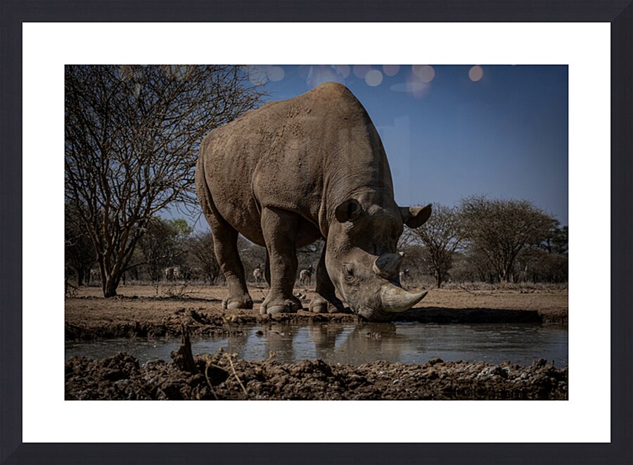 DSF4744 copy Picture Frame print