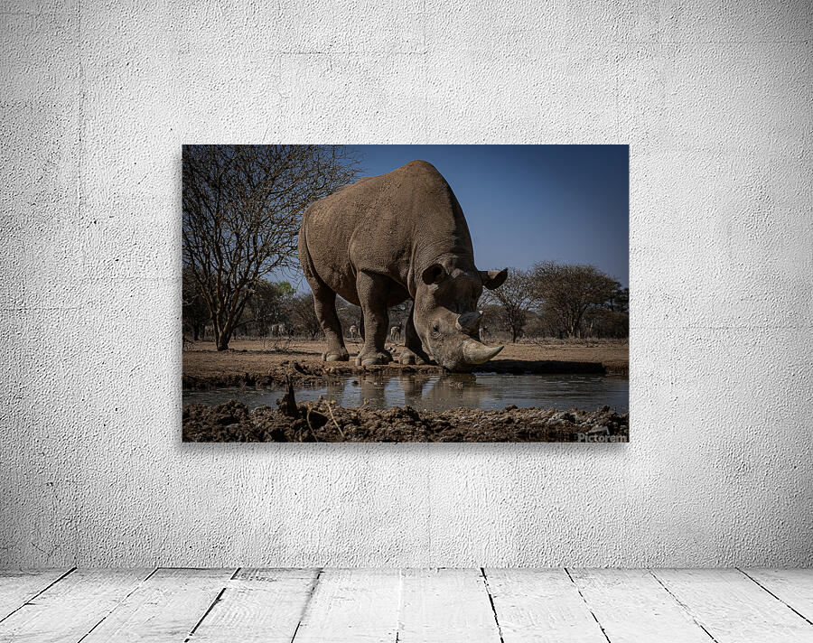 DSF4744 copy Wall Preview
