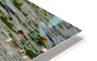Lily Pads HD Metal print