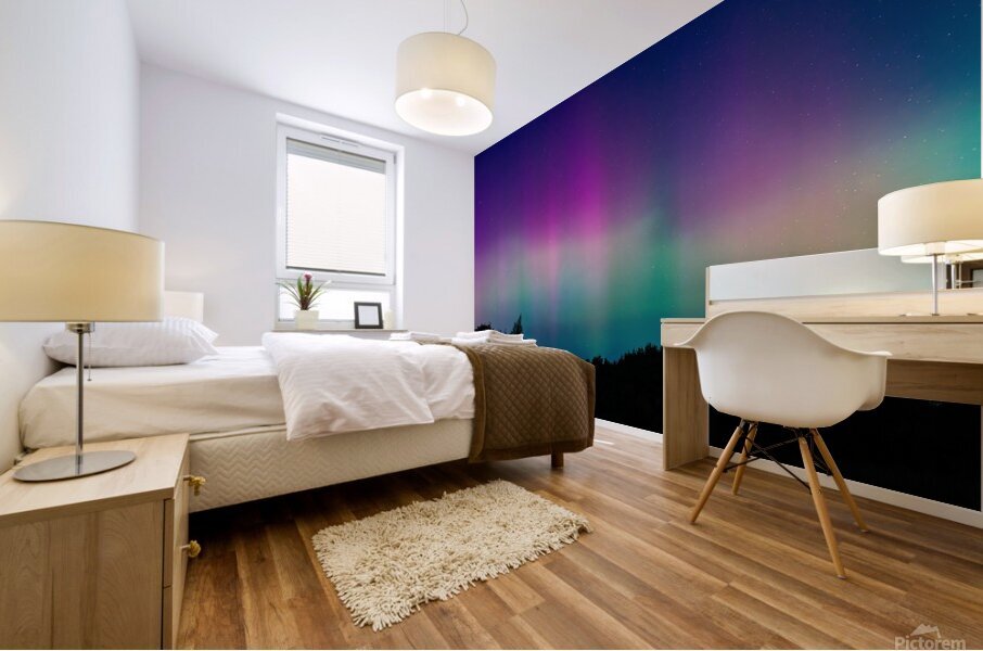 Aurora Borealis 2 Mural print