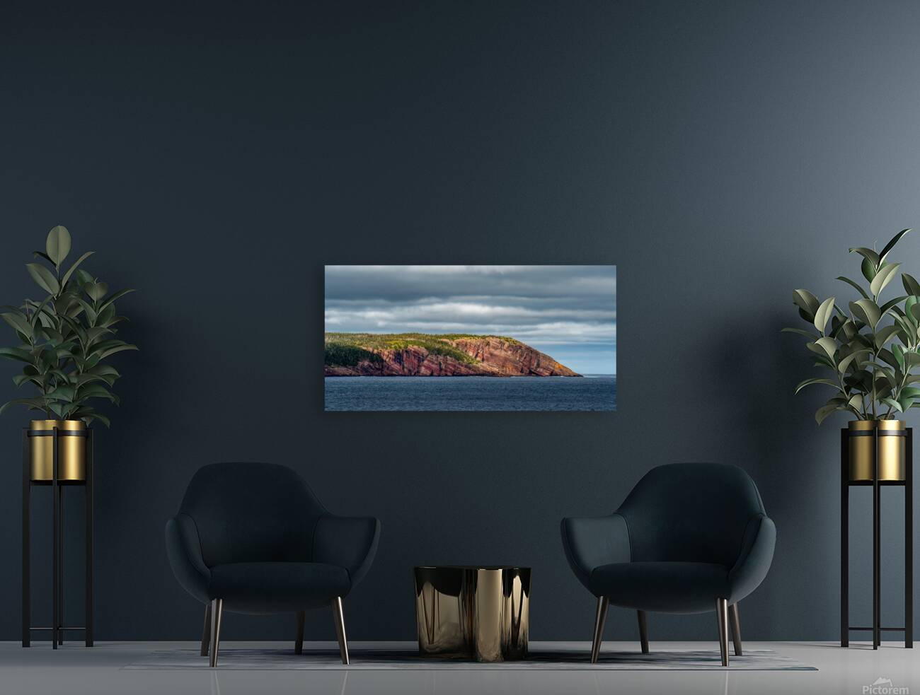 Witless Bay NL Reproduction