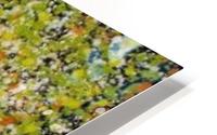  Bee Pollen HD Metal print