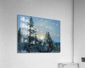 IMG 6049 W Acrylic Print