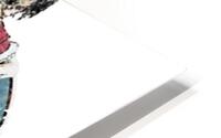 Sally Omalley 17 HD Metal print