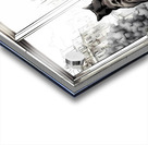 Admiring The View Acrylic print