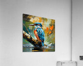 Kingfisher Acrylic Print