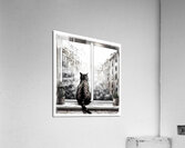 Admiring The View Acrylic Print