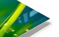 Dew HD Metal print