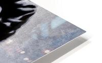Bowie HD Metal print
