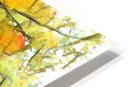 Autumn HD Metal print
