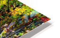 Autumn Trees HD Metal print