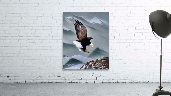 Coming Into Land Wall Preview