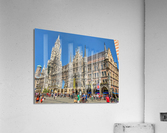 IMG 7559 Acrylic Print