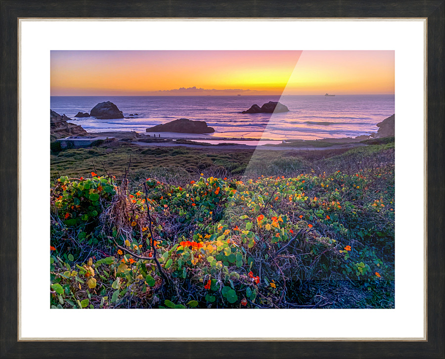 IMG 4115 Picture Frame print