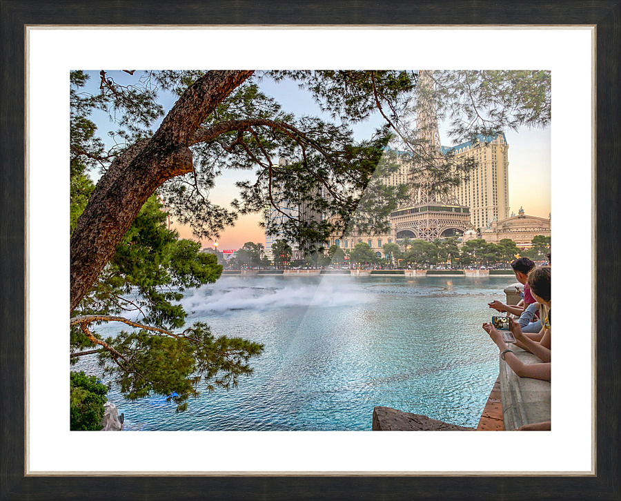 IMG 3263 3  Picture Frame print