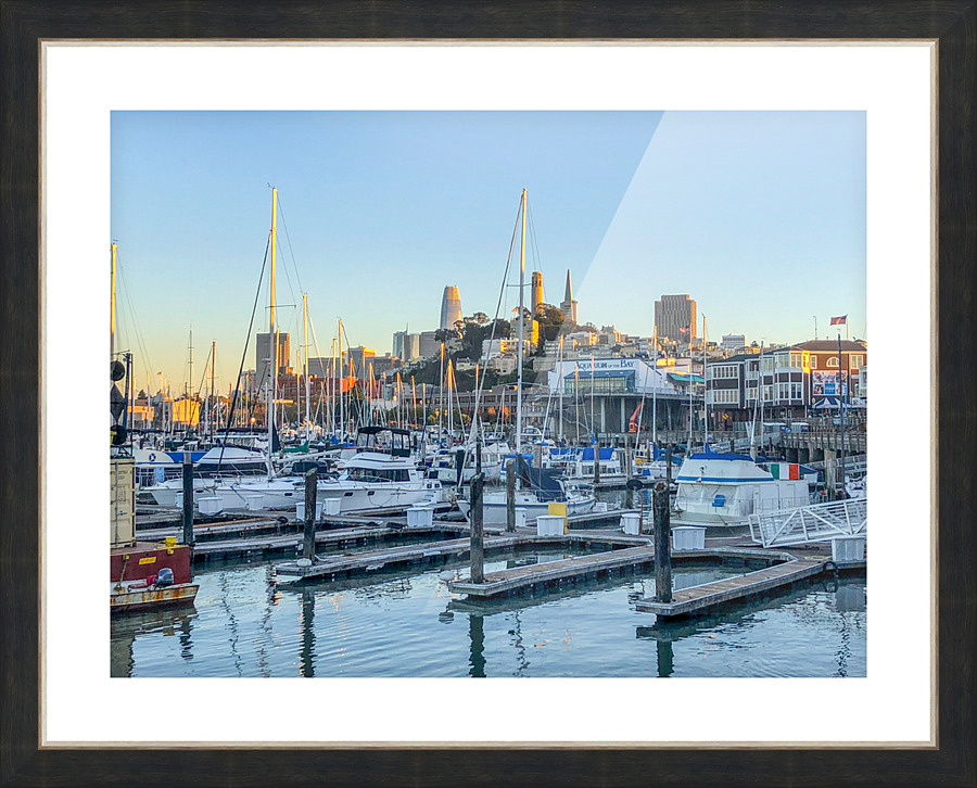 IMG 3835 1  Picture Frame print