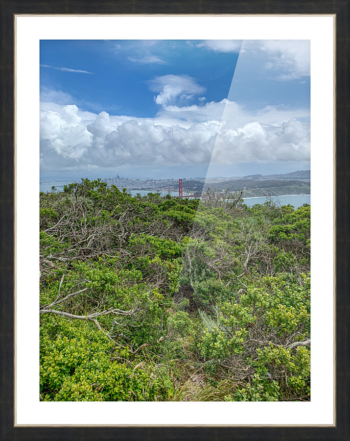 IMG 1265 1  Picture Frame print