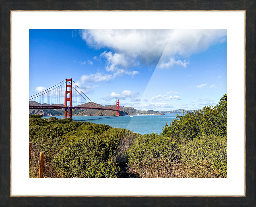 IMG 0521 Picture Frame print