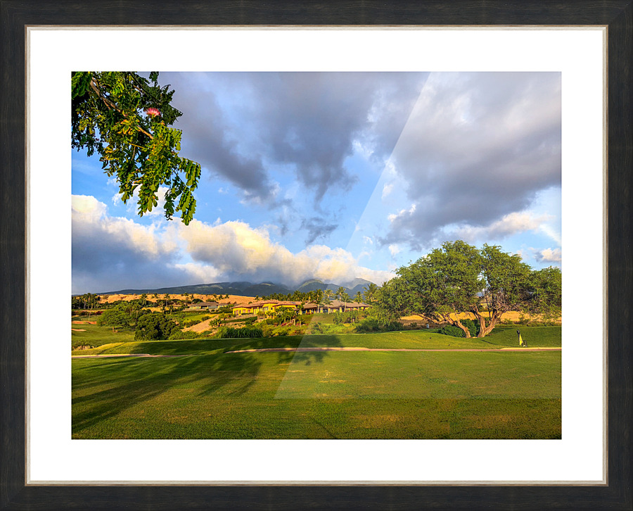 IMG 2476  2  Picture Frame print