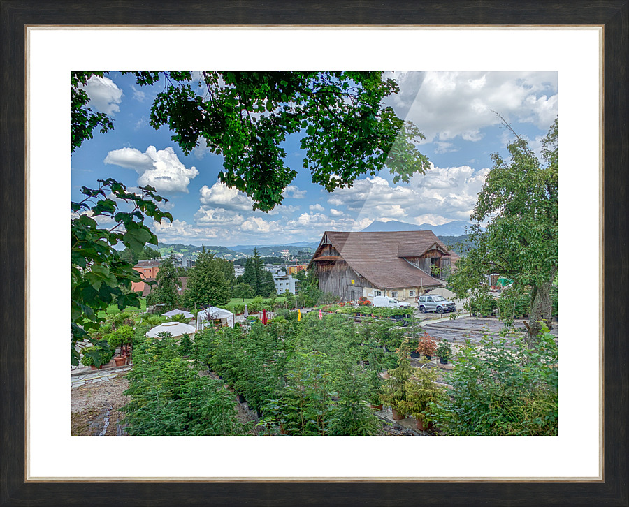 IMG 2338 1  Picture Frame print