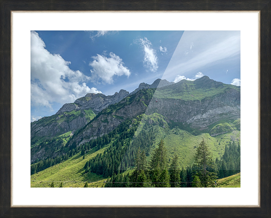 IMG 2451 2  Picture Frame print