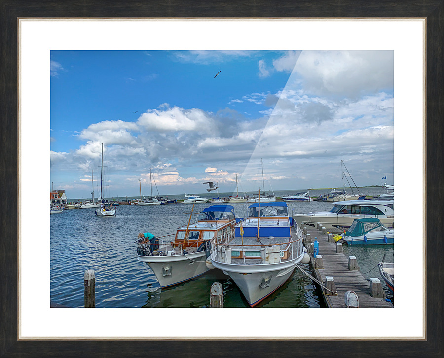 IMG 7267 Picture Frame print