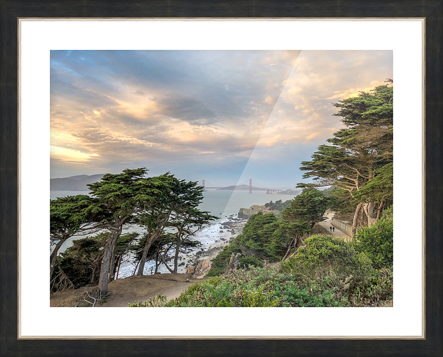 IMG 3524 1  Picture Frame print