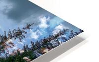 IMG 2386 3  HD Metal print
