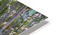 IMG 4810 2  HD Metal print