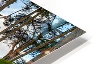 IMG 6039 HD Metal print