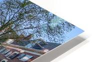IMG 7392 Flat HD Metal print