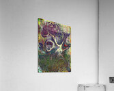 Bartia Acrylic Print