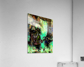 Mossi Acrylic Print