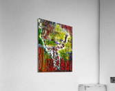 Excerpto Acrylic Print