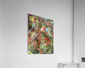 Wacopi Acrylic Print