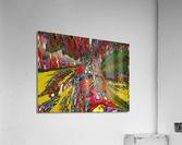 Denka Acrylic Print