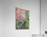 Margis Acrylic Print