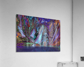 Xinda Acrylic Print