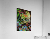 Kwadri Acrylic Print