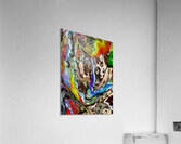 Mindaos Acrylic Print