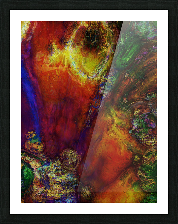 Pladid Picture Frame print